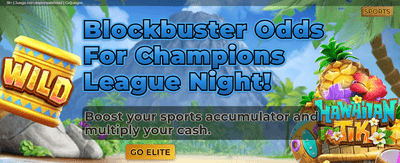 Join the Ultimate Casino Mate
